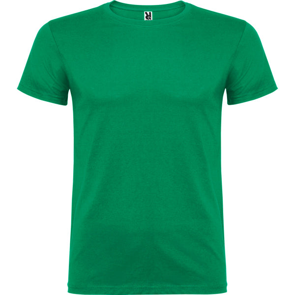 BEAGLE VERDE KELLY 11/12