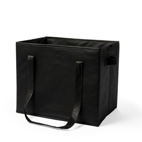 Organizator auto RIFTER