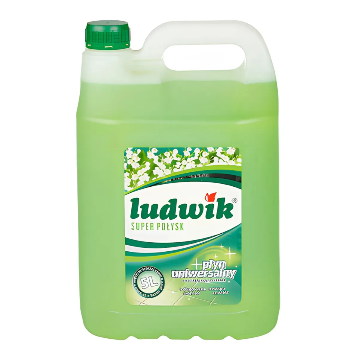 Ludwik Detergent pardoseli 5L · SG-15