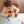 Puzzle LEIS