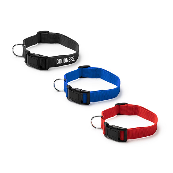 Zgardă pentru animale de companie KORAT