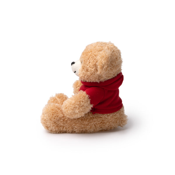 Teddy bear JAZZ