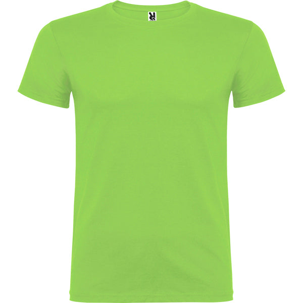 BEAGLE VERDE OASIS 11/12